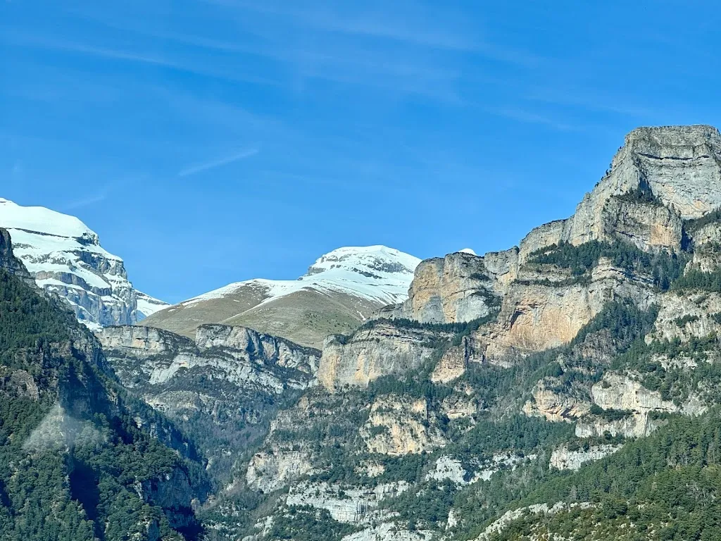 David Seymour_As Fuebas de Patricio_Olvena_review