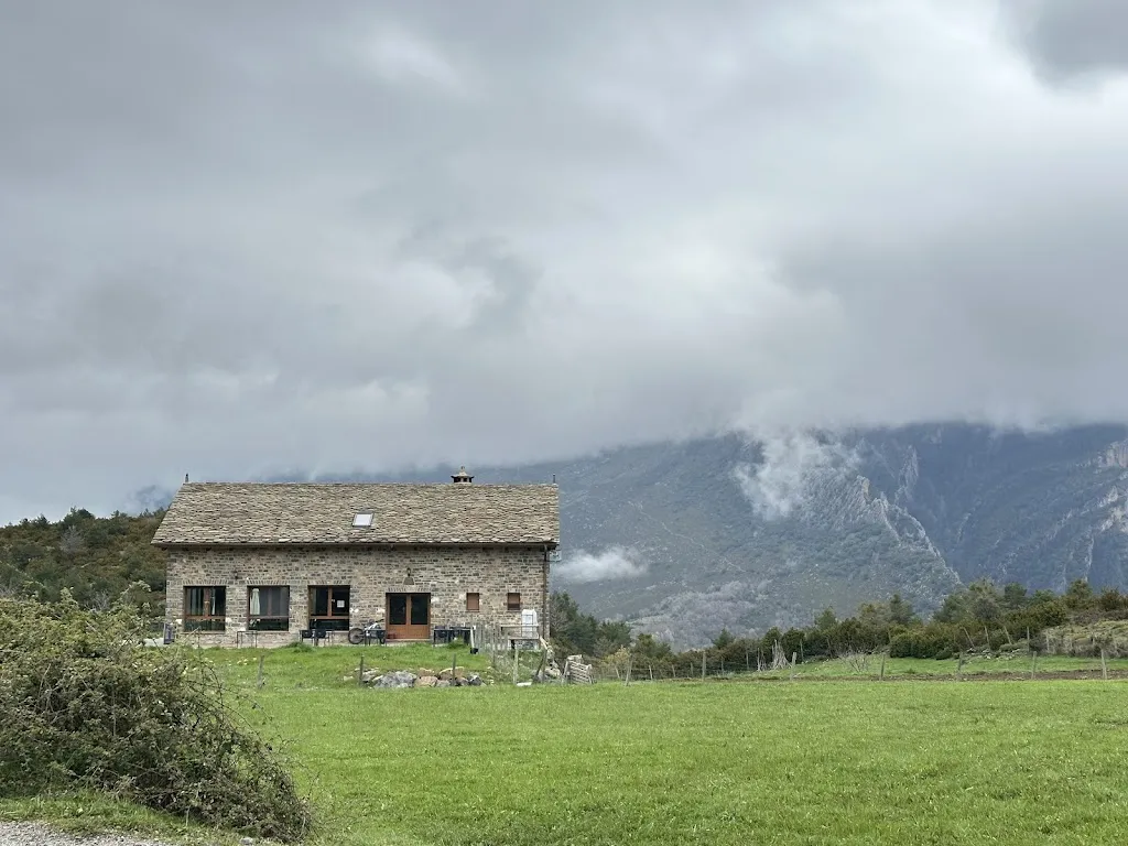 Thijs Weenk_As Fuebas de Patricio_Olvena_review