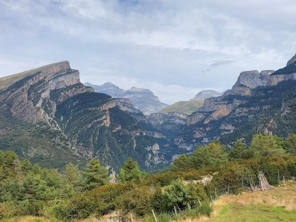 Steve Warne_As Fuebas de Patricio_Olvena_review