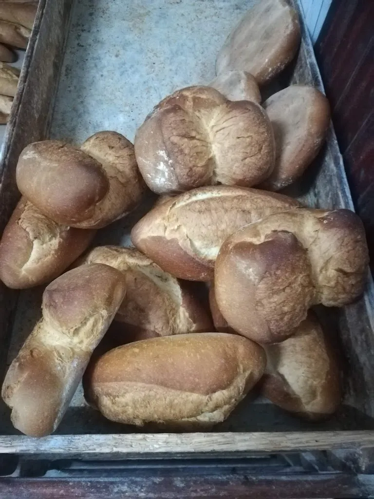 Antonio Puyuelo Mairal_Peralta de Alcofea_slider_image_1