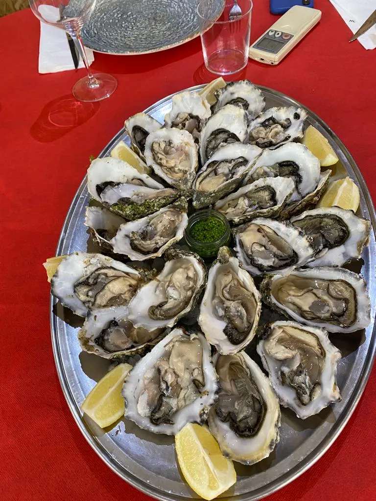 EL DESCANSO 333 SL_Puebla de Alfindén_slider_image_3