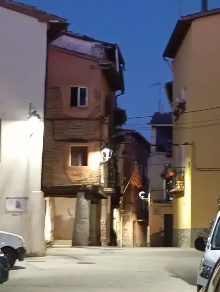 Conxita Pereira_Bar Social_Puebla de Castro La_review