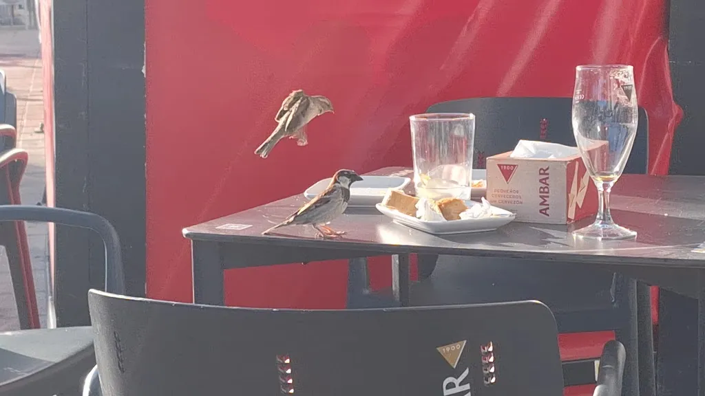 El Molino de Valdespartera_Montecanal_slider_image_2