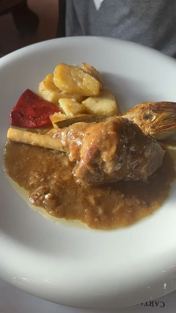 Aaron Plana_Bar Restaurante Sabiñánigo Camp_Sabiñánigo_review