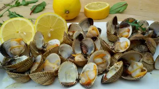 Menu_Bar Restaurante El Rincón de Adiell_Tamarite de Litera_image_9