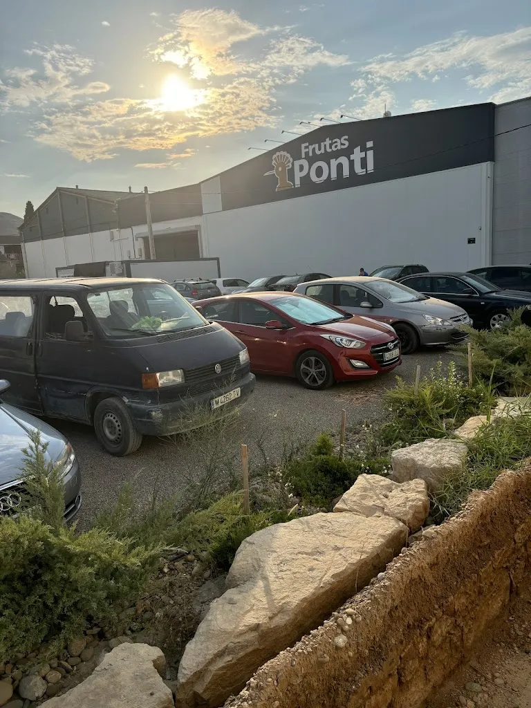 Надія Яценко_Frutas Ibarz Ponti_Velilla de Cinca_review