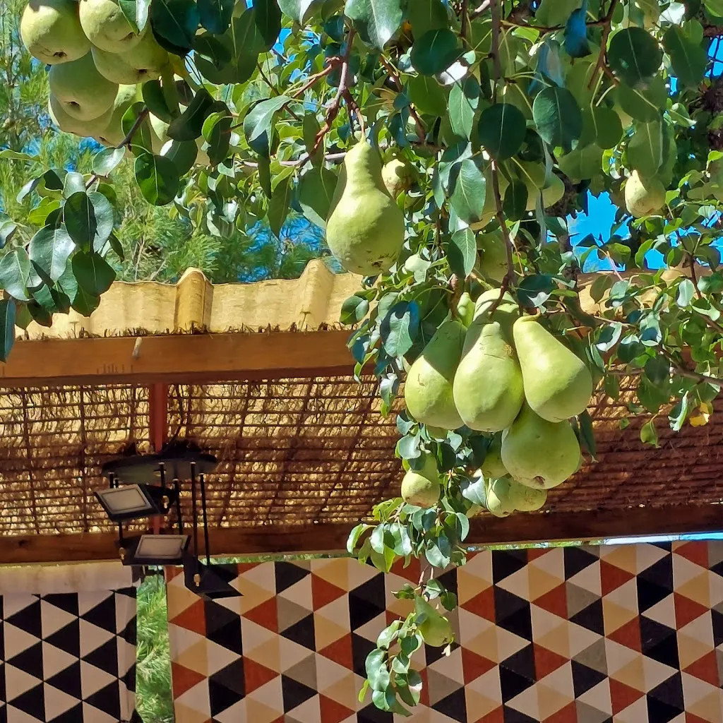 Poesía Recitada -Tomás Galindo-_El Rincón de Valero_Yebra de Basa_review