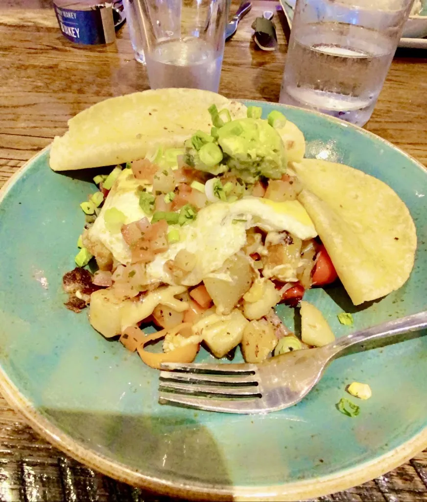 Edward Samuel _First Watch_Villanova_review