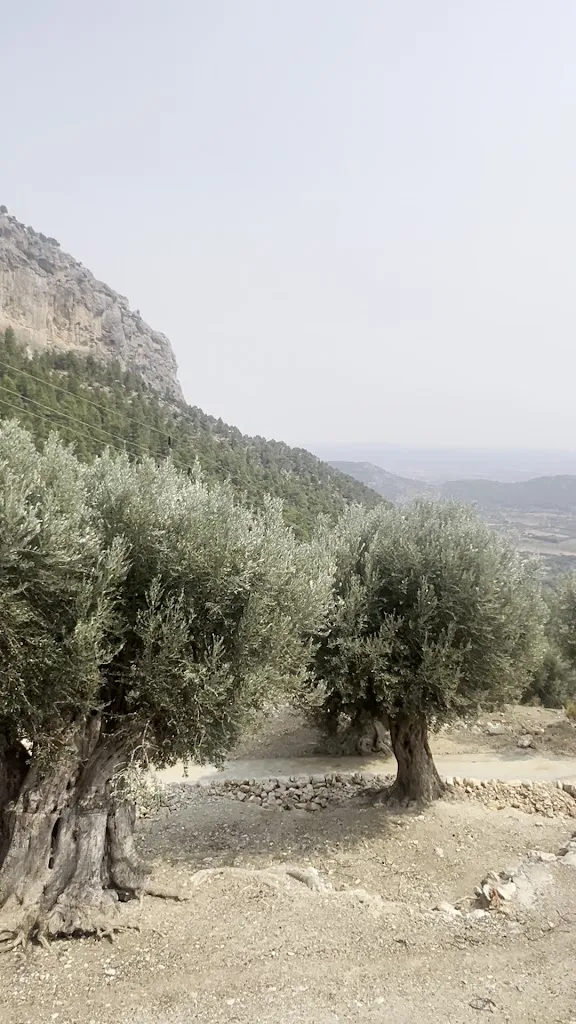 Artem Valeev_Es Verger_Alaró_review