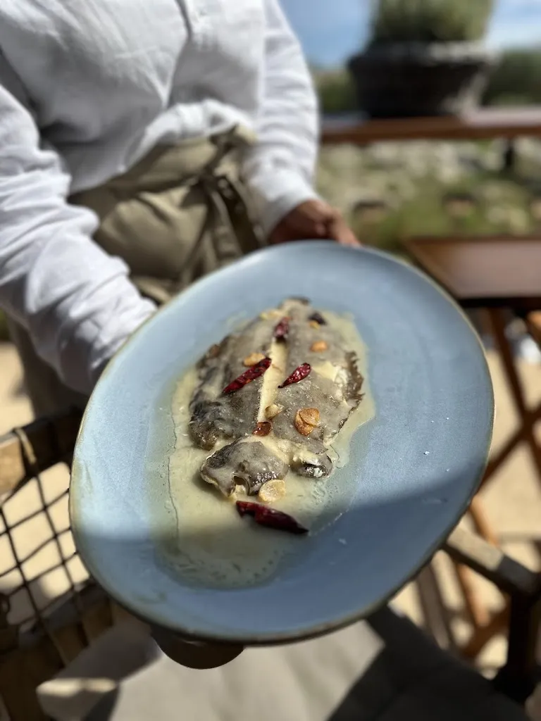 Jodi Neu-Ner_Restaurante Torralbenc_Alaior_review