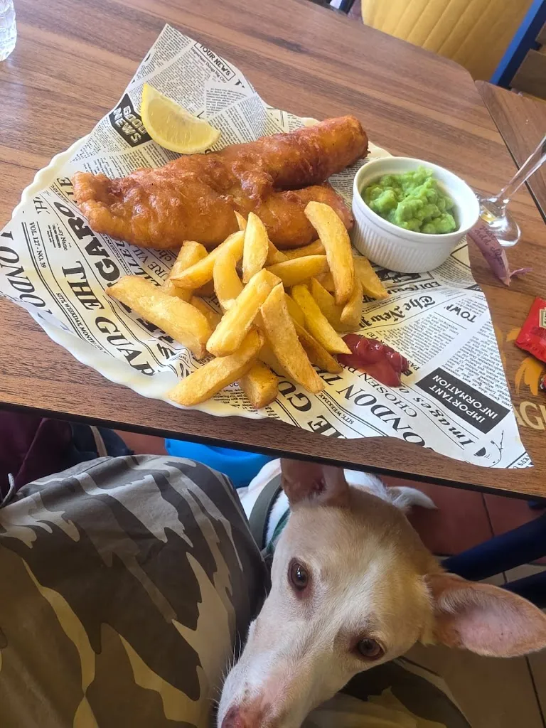 Beth Blake_Squirrels Bar & Grill_Benijofar_review