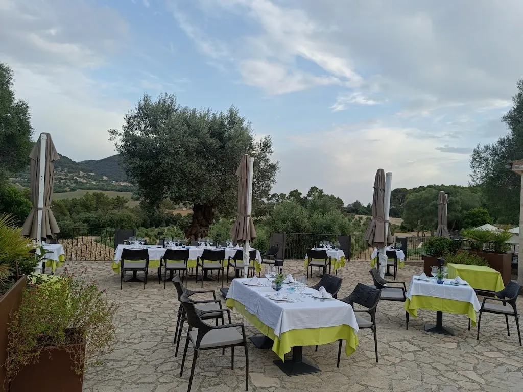 Restaurant Treurer Olive Grove_Algaida_slider_image_1