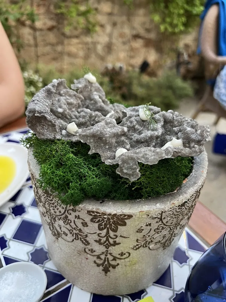 Carla Wiemers_Sa Casa Mallorquina_Algaida_recensione