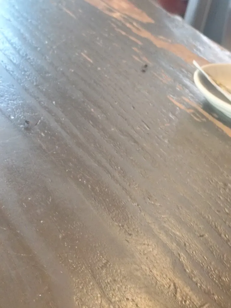 Elisabeth Reyes Jeronimo_Bouquet_Zaidín_recensione