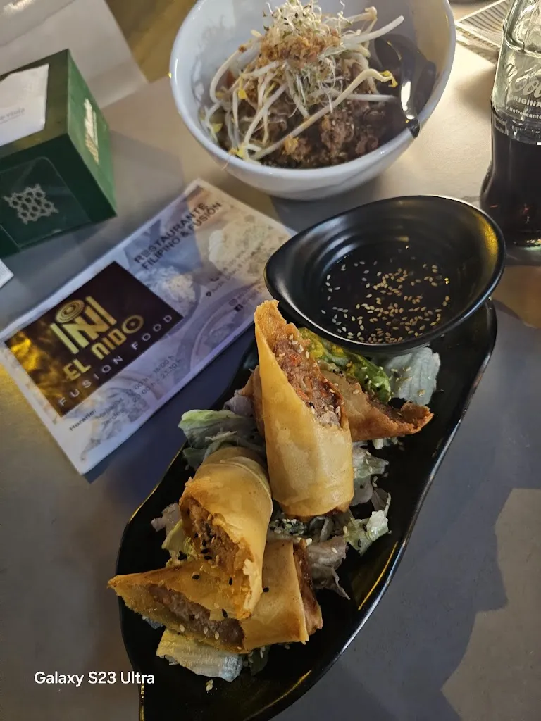 ely bagaindoc_EL NIDO FUSION FOOD_Zaidín_review