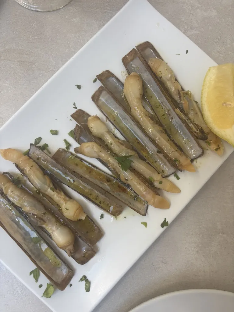 Ammoula_Puerto Lombardo_Zaidín_recensione