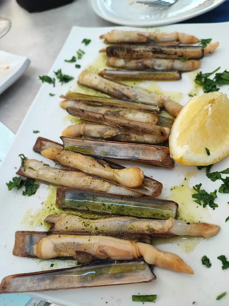 Joaquin P_Puerto Lombardo_Zaidín_recensione