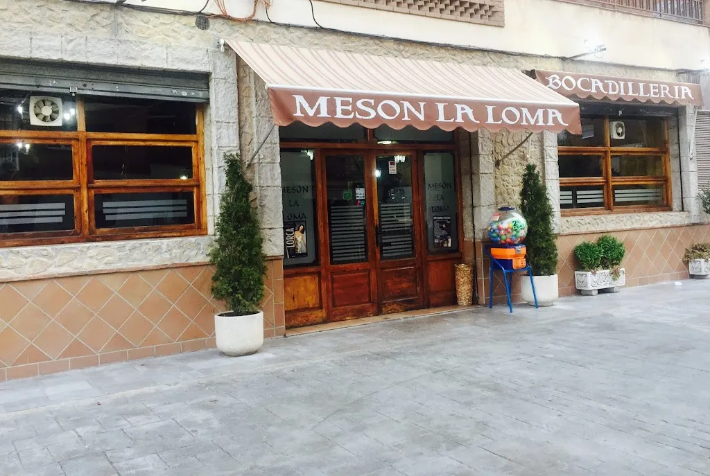 Mesón la Loma_Zaidín_slider_image_1