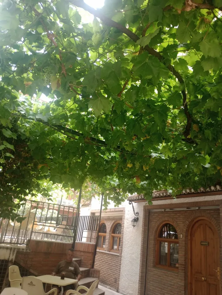 ana Maria rodriguez_Restaurante Pizzería Zurich_Zaidín_review