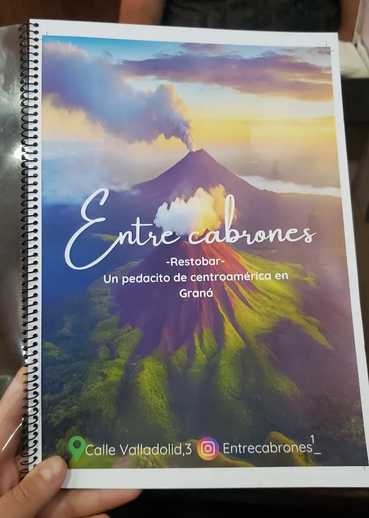 India M_Lagos & Volcanes_Zaidín_review