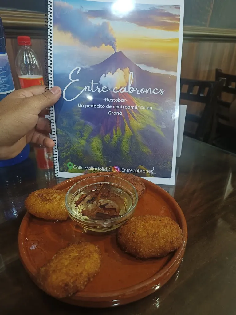 Aaron Francisco Silva Rivas_Lagos & Volcanes_Zaidín_review