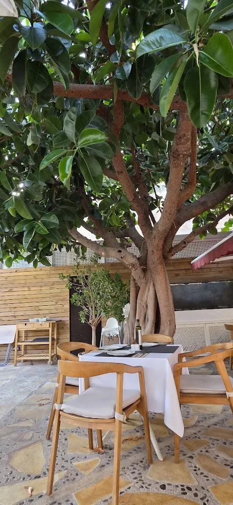 elena oancea_Restaurant Sa Mossegada_Alcúdia_review