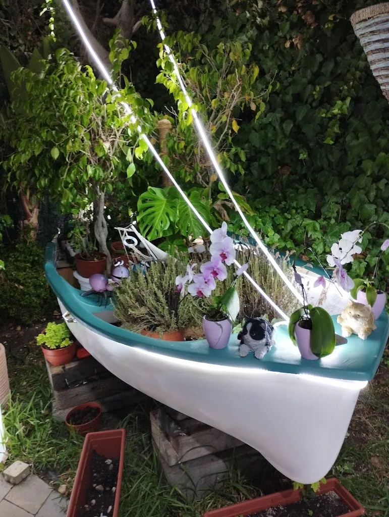 Tamás Kovács_AQUA Restaurant | Paellas & Cocktails en Alcudia_Alcúdia_review