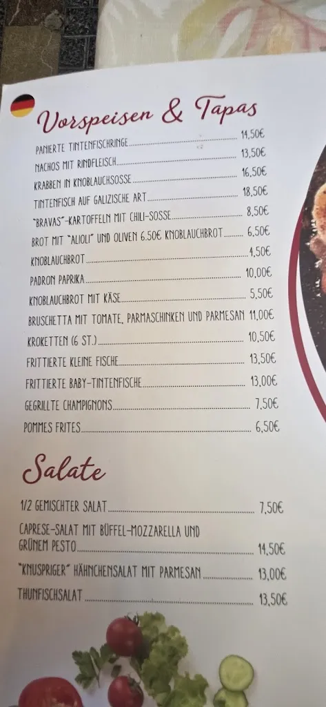 Menu_Restaurante y Pizzería La Fuente_Alcúdia_image_2