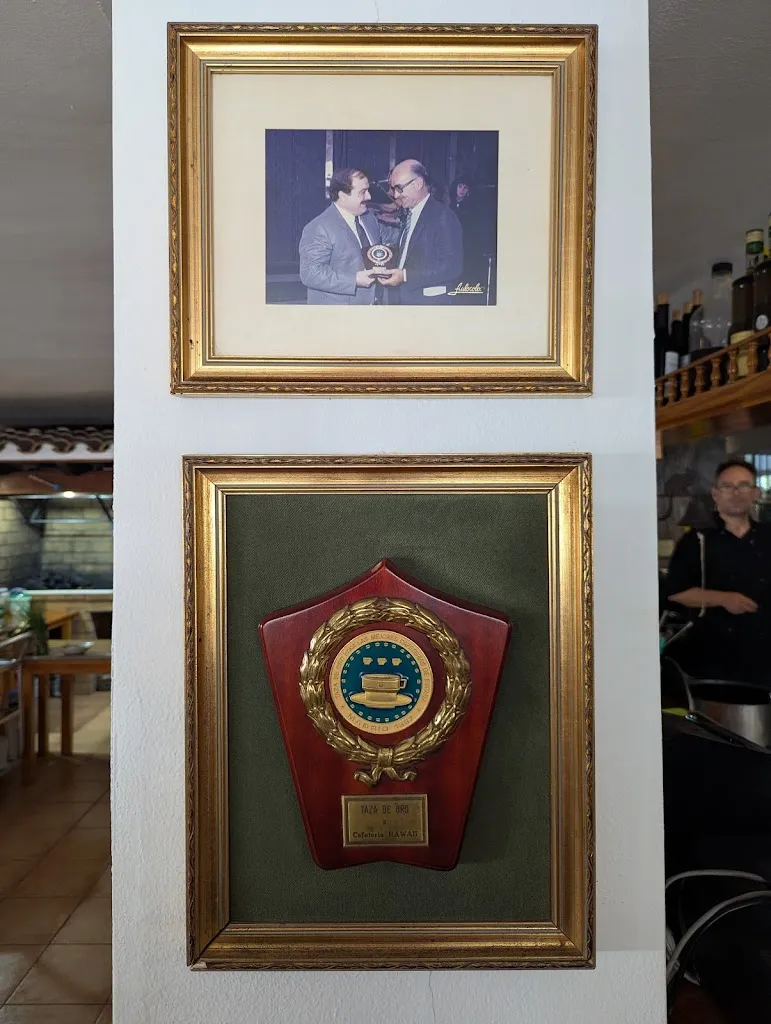 Yuriy Khokhlov_Bar Hawai_Alcúdia_review