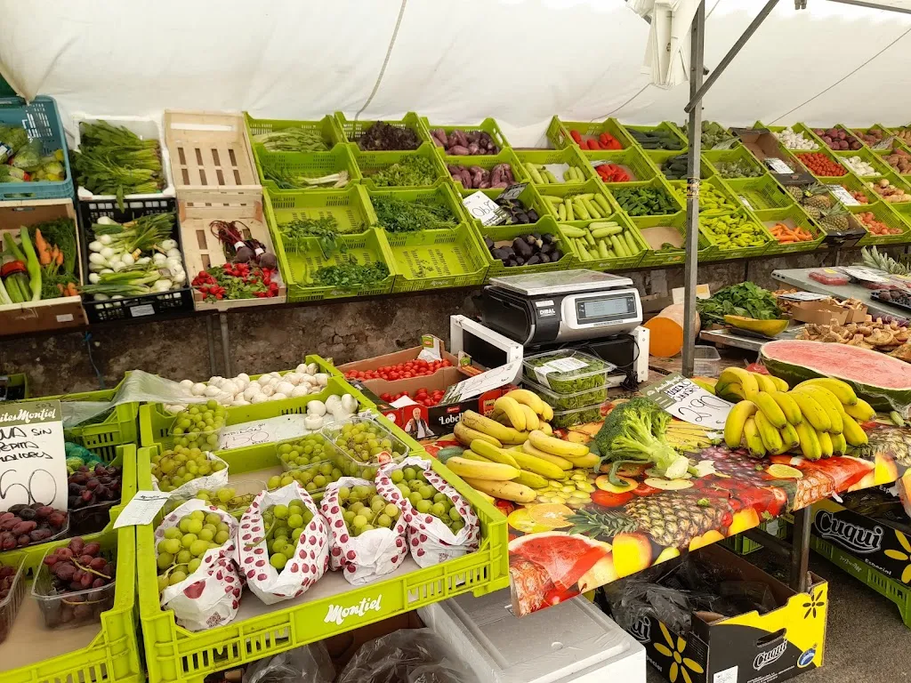 Catherine Jarvis_Bar Rosita's_Calvià_recensione