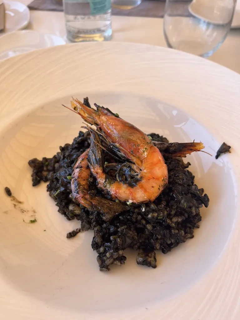 Alisson Maitre_Latitud 39_Andratx_review