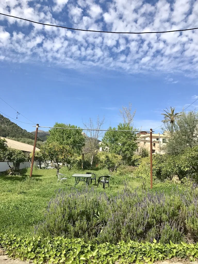 Señor Anónimo_Sa Taronja_Andratx_review