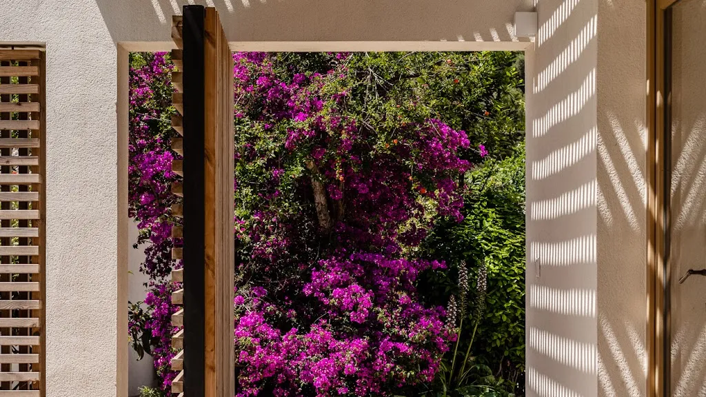 Sa Taronja_Andratx_slider_image_1