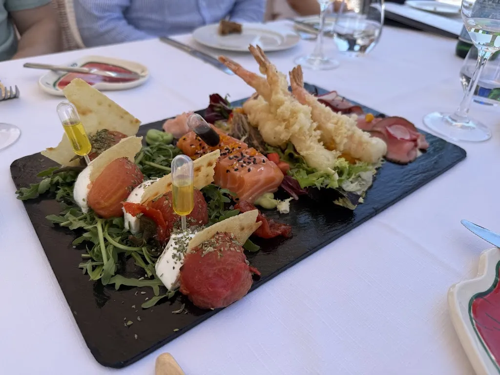 Harbour Seal_Campino_Camp de Mar_recensione