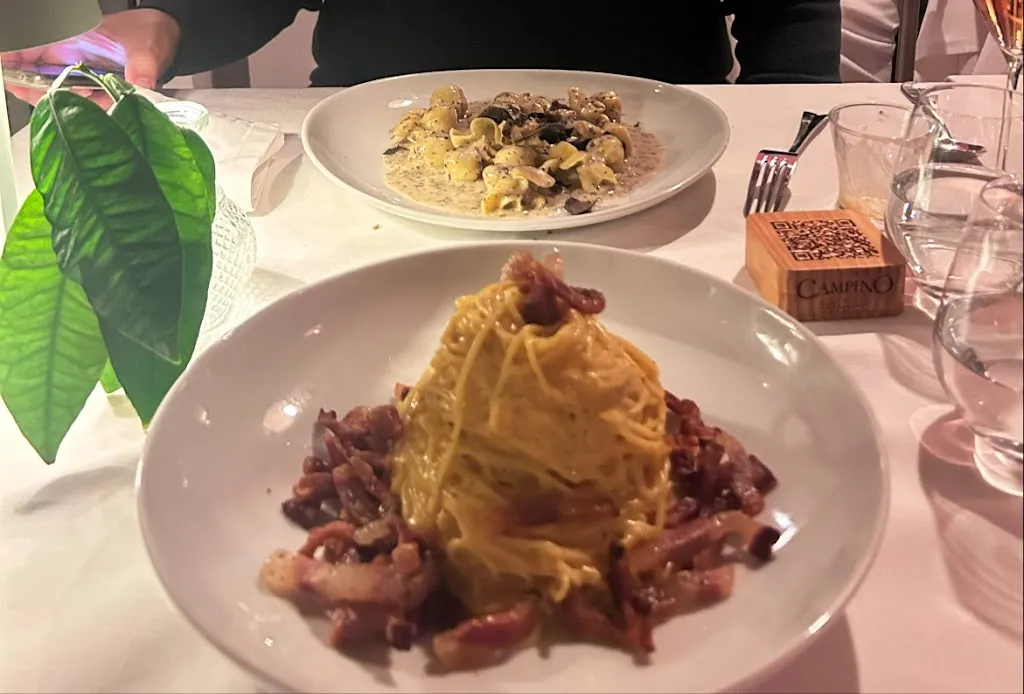 Anna K. Langston_Campino_Camp de Mar_recensione