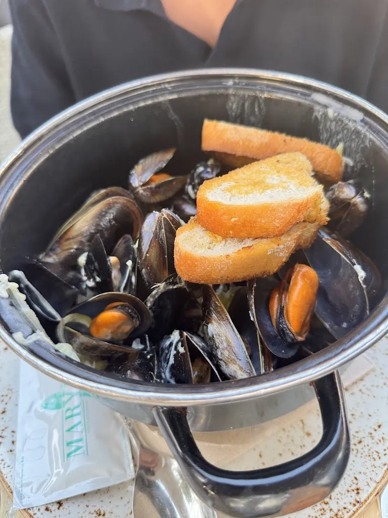 Zbynek Pokorny_MAR Y MAR_Camp de Mar_review