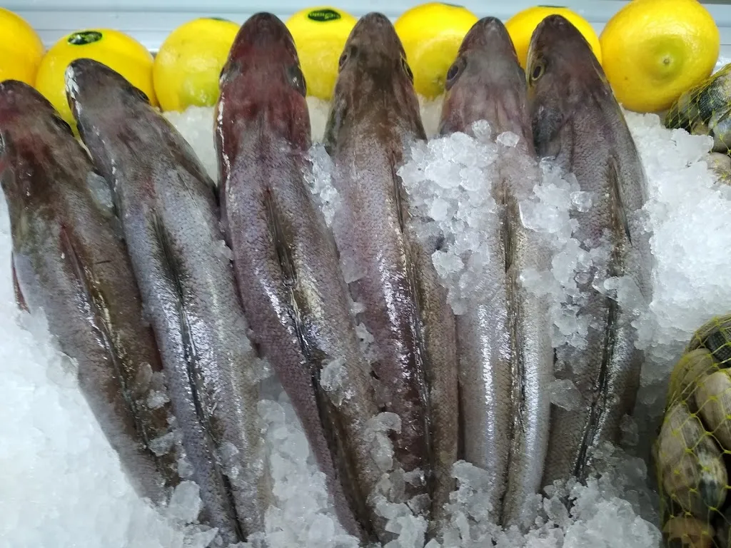 Menu_Bar Restaurante San Roque Catral_Callosa de Segura_image_7