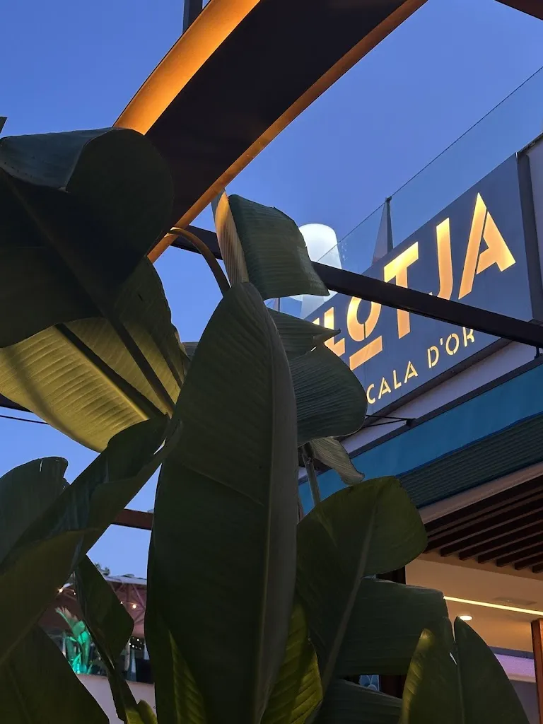 Vincent Hänggi_Sa Llotja Cala d’Or_Cala d'Or_review