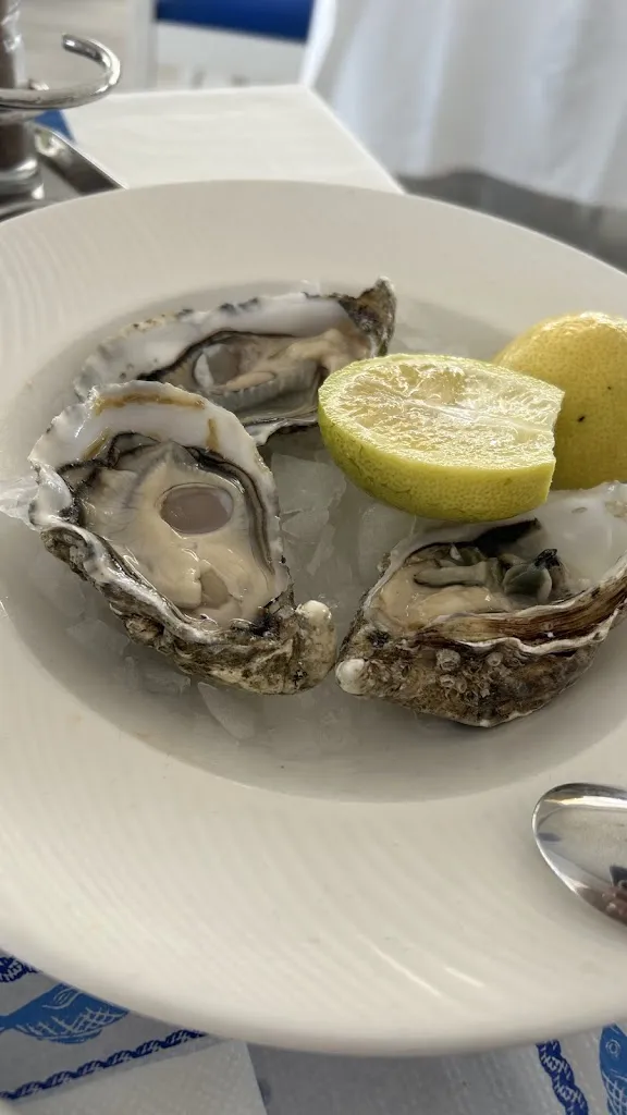 Jindra Mydlář_Restaurant Club Nàutic Can Pastilla_Can Pastilla_review