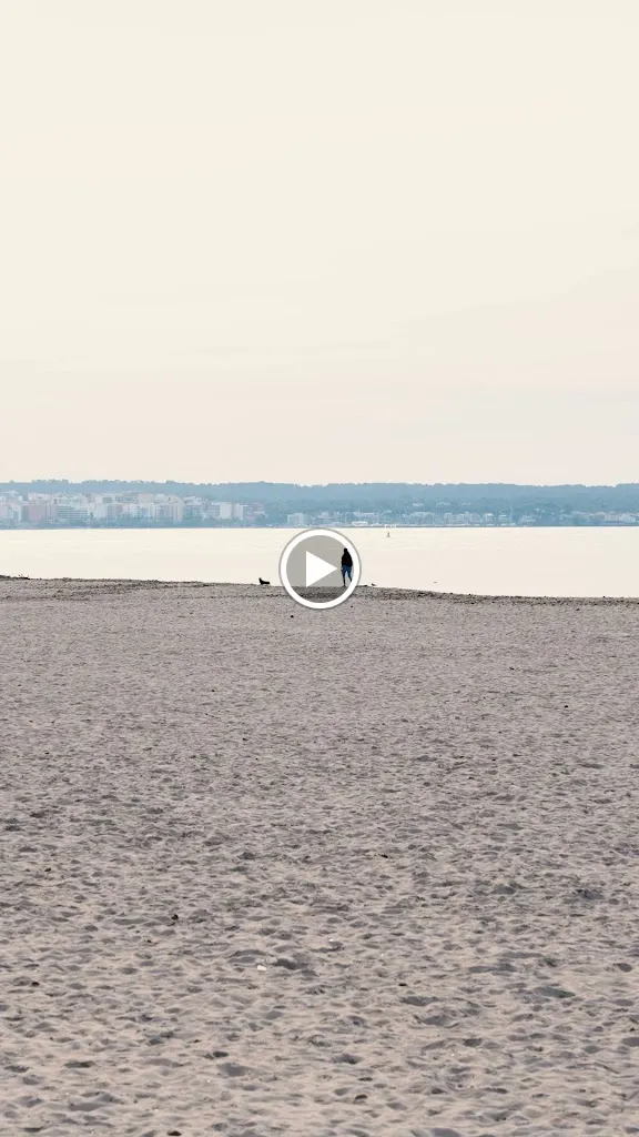 Cafeteria Playa_Can Pastilla_slider_image_2