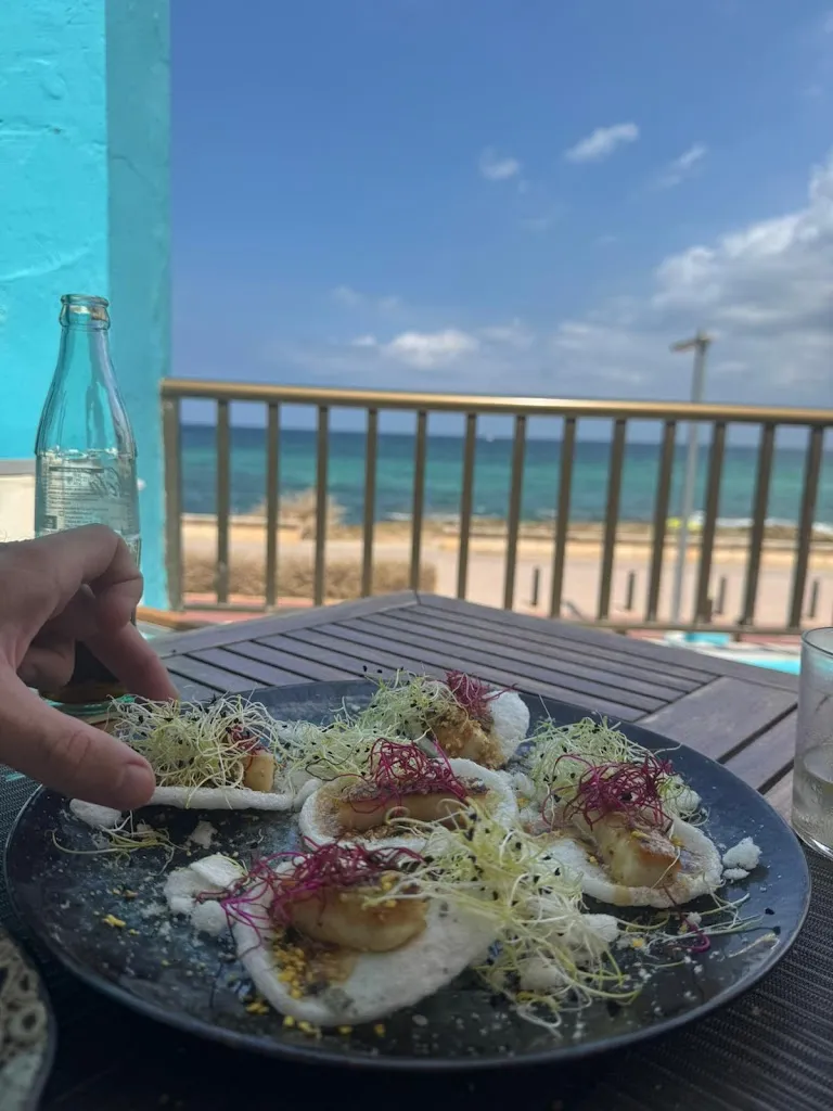 Joe Lee_Salitre Can Picafort_Can Picafort_review