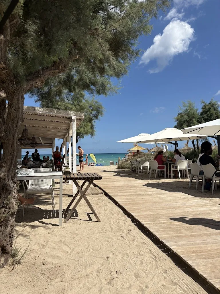 Suzanne Weigl_Ponderosa Beach_Can Picafort_recensione