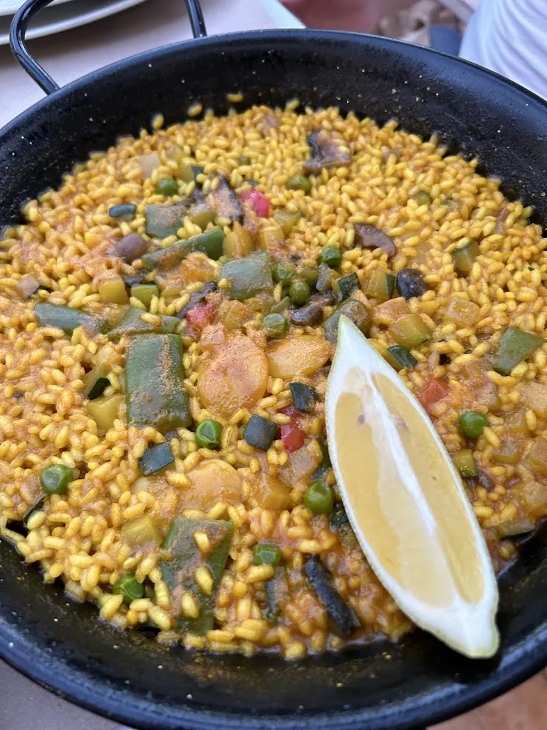 Ginevra Francisconi_Can Montevideo_Can Picafort_review