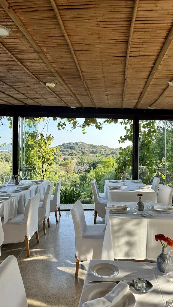 Rosa Gil Garcia_Restaurant Son Barbassa_Capdepera_review