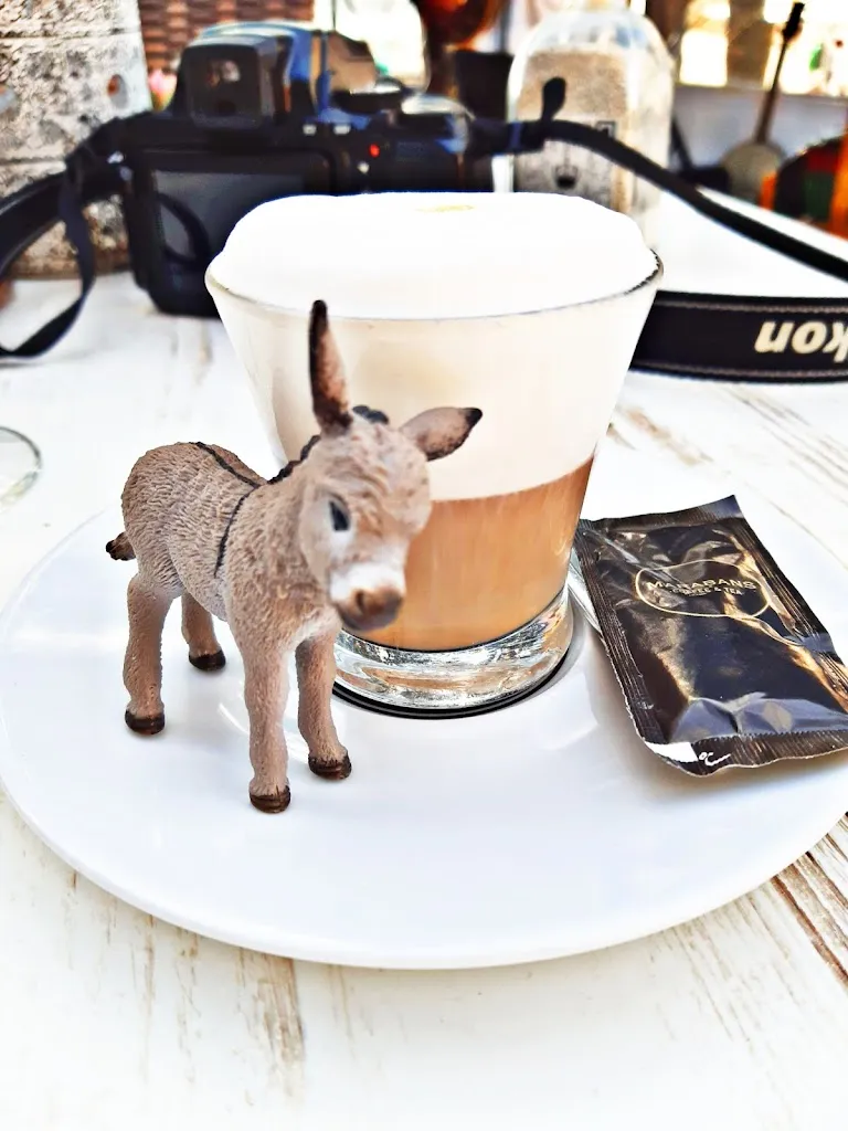 Menü_Royal_Capdepera_Bild_8