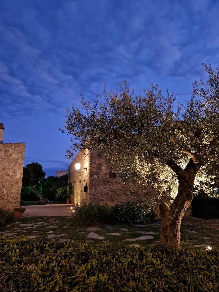 David Petersson_Es Coll d'Os_Capdepera_review