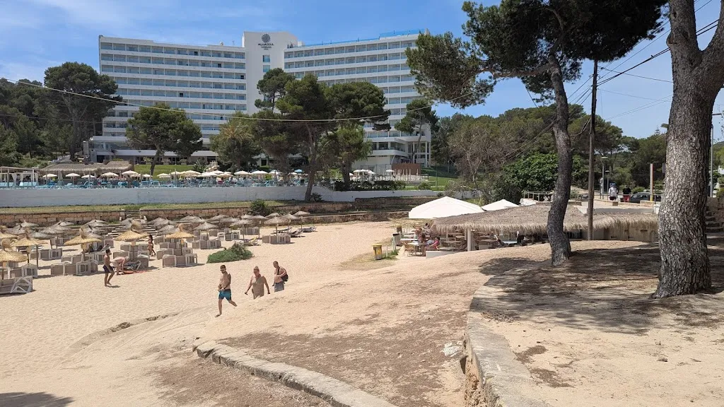 Thomas Bachmann_Playas de Capdepera_Capdepera_review