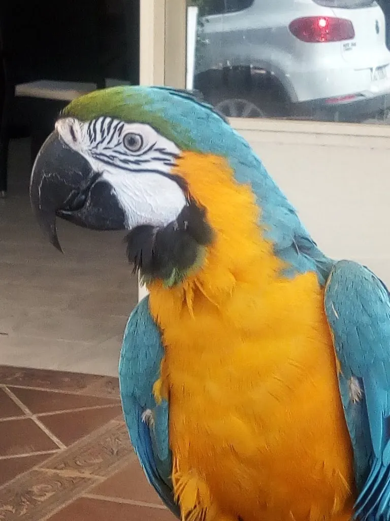 Sue Crowther_Restaurant s'Estiu_Capdepera_recensione