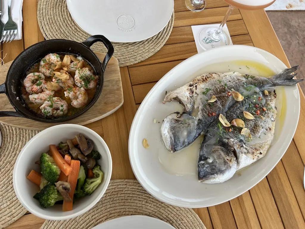 J M_The Sea Club Restaurant & Cocktail Bar_Capdepera_review