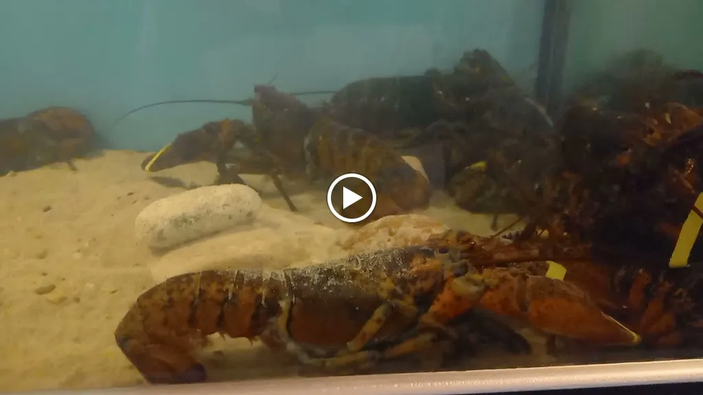 SA VERELLA_Castell Es_slider_image_2